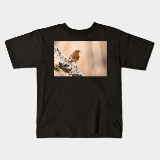 Robin on the silver perch Kids T-Shirt by AYatesPhoto